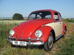 brouk-servis6