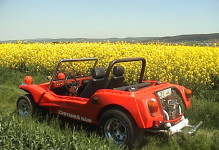 RENOVIERUNG ANDERER TYPEN