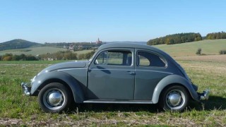 Beetle 4