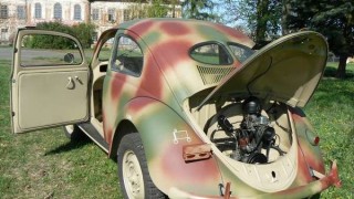 Beetle 5