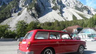 Beetle 5