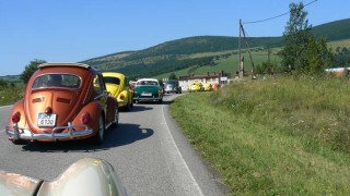 Beetle 5