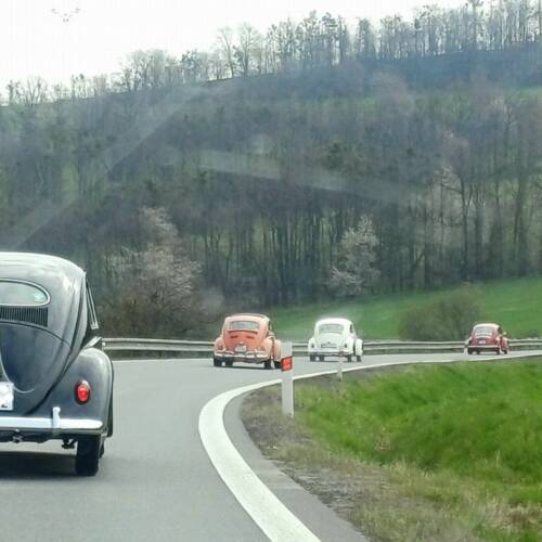 VW Beetle club Olomouc