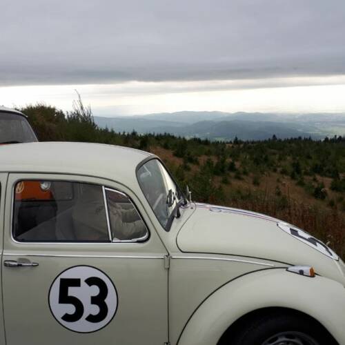 VW Beetle club Olomouc